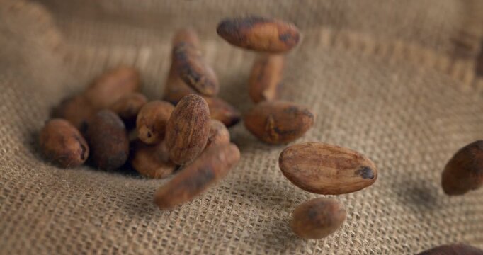 Freshly harvested cocoa beans falling on rustic burlap at 1000fps slow motion. Artisanal harvest, raw passion, rich aroma and authentic craft.