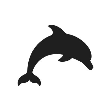 Black dolphin silhouette jumping isolated on transparent background