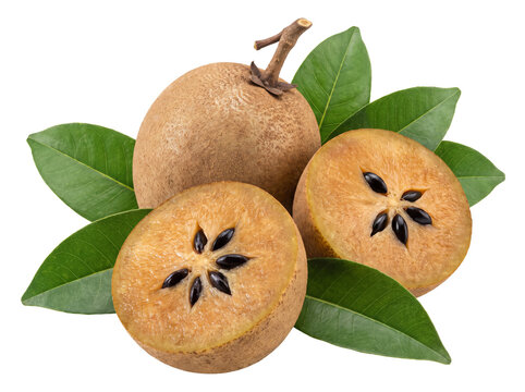 Fresh Sapodilla Fruit Whole and Sliced with Green Leaves