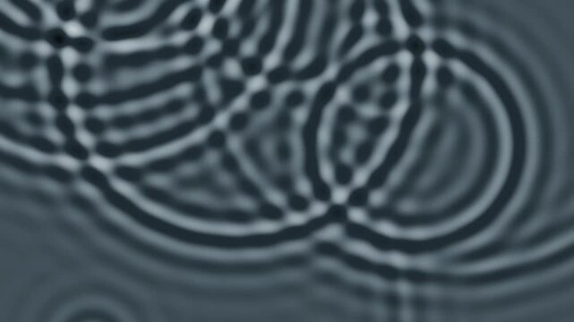 Seamless loop of monochrome pond ripples spreading from falling raindrops