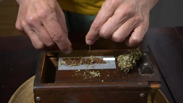 More and more young people are using drugs and smoking joints&mdash;a young person's hands preparing a cigarette with tobacco and marijuana (weed). Soft drug thc addiction among school-age youth.