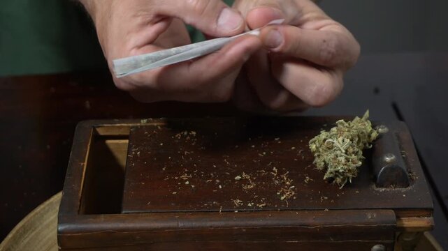 More and more young people are using drugs and smoking joints&mdash;a young person's hands preparing a cigarette with tobacco and marijuana (weed). Soft drug thc addiction among school-age youth.