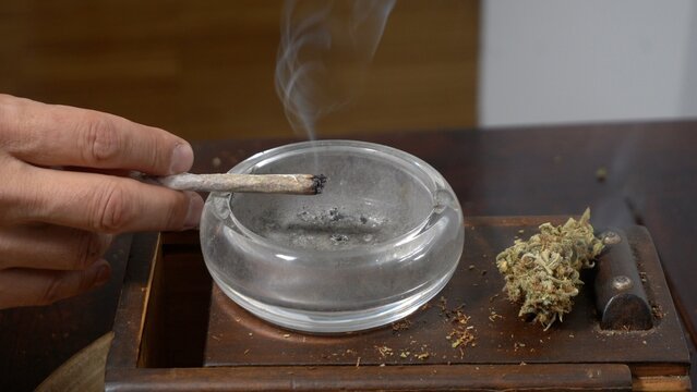 More and more young people are using drugs and smoking joints&mdash;a young person's hands preparing a cigarette with tobacco and marijuana (weed). Soft drug thc addiction among school-age youth.