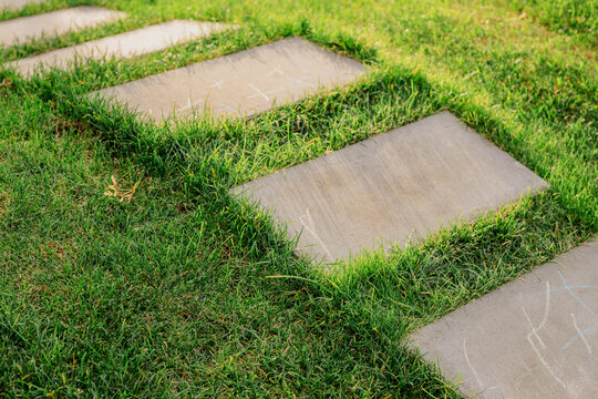 Concrete stepping stones embedded in a green lawn