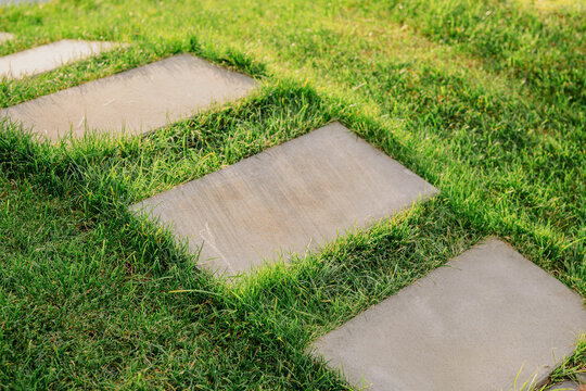 Concrete stepping stones embedded in a green lawn