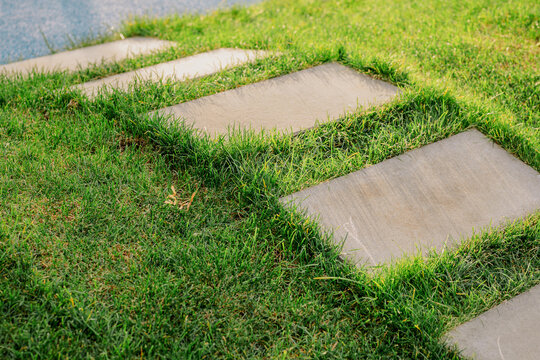 Concrete stepping stones embedded in a green lawn
