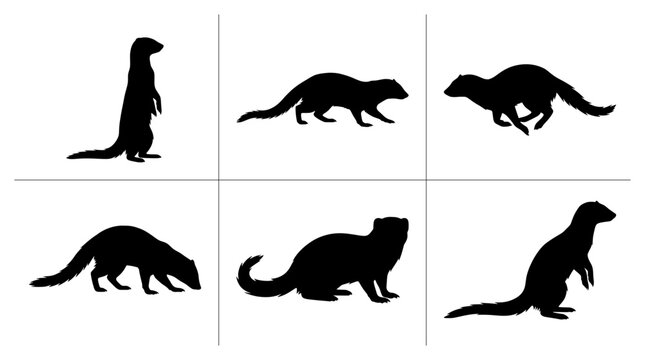 Mongoose silhouettes set with standing, running, crawling and alert poses for wildlife design