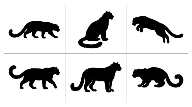 Snow leopard silhouettes set with figures walking, sitting, and jumping for wildlife logos and prints