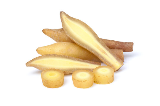 Finger root on white background.