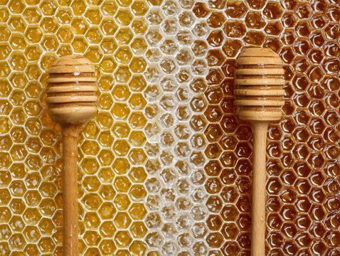 Honeycomb filled with honey and two wooden honey dippers