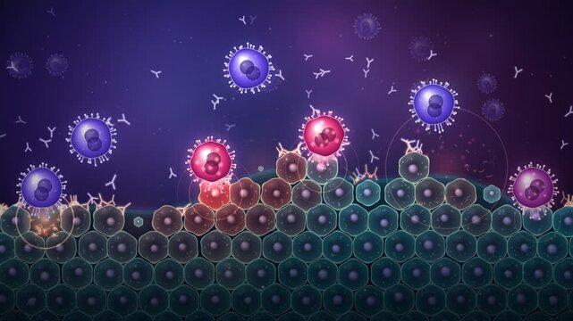 Autoimmune Disease Immune T Cells And Antibodies Attacking Healthy Tissue Cells Inflammation Animation