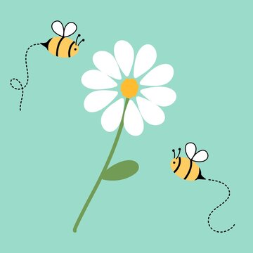 Flying Bees around White Daisy Flower Vector Illustration 