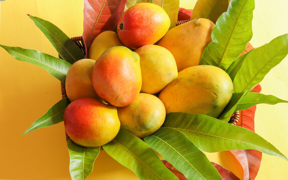 A basket of vibrant Indian mangoes, showcasing rich shades of yellow, orange and red with fresh green leaves against a warm background.
