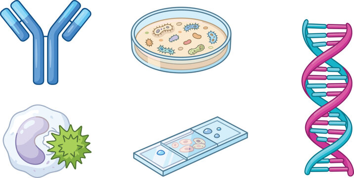 Science and immunology vector icon set featuring antibody molecule petri dish bacteria dna double helix glass slide and white blood cell
