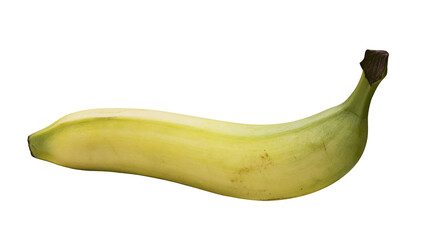 Single fresh unripe green banana with brown stem tip © Theodore