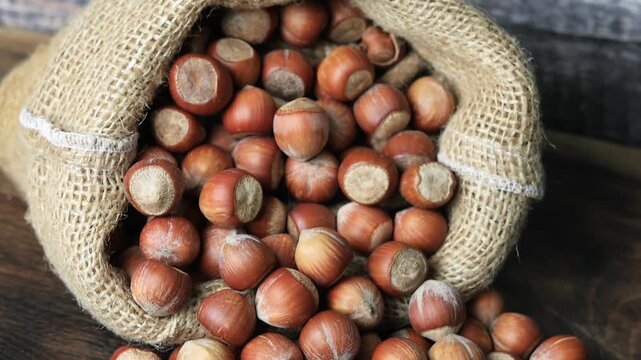 hazelnut, a pile of hazelnuts in a linen sack on a wooden floor	
