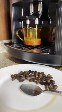 Caf&eacute; en grano en taza y cafetera el&eacute;ctrica preparaci&oacute;n ar&aacute;bica robusta con plato y cuchara cup of coffee espresso