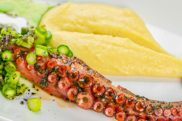 Grilled octopus tentacle with herb dressing, sliced vegetables, avocado and creamy puree arranged on a white plate, close up seafood dish © Надія Коваль