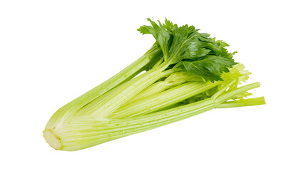 Fresh green celery stalk bunch with vibrant leaves © Asmud
