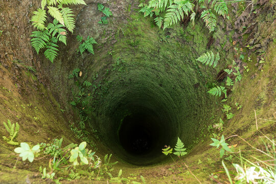 Deep stone well shaft looking down into dark abyss surrounded by wild fern plants