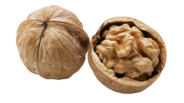 Whole and cracked walnut with textured brown shell and edible kernel