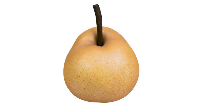 Round golden brown Asian pear with a dark brown stem