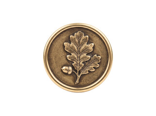 Antique brass furniture knob featuring a detailed embossed oak leaf and acorn design element © ieps