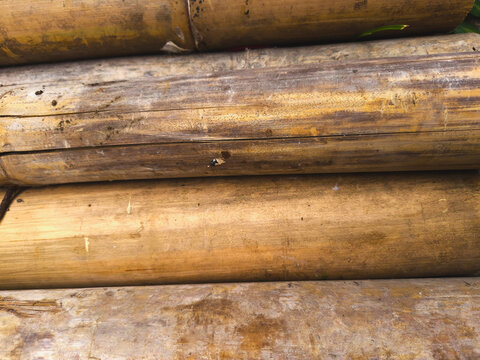 Close view of dry, stacked bamboo poles with natural weathered surface texture and wooden grain.