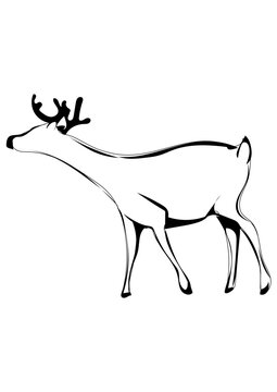 Rentier Rudolph