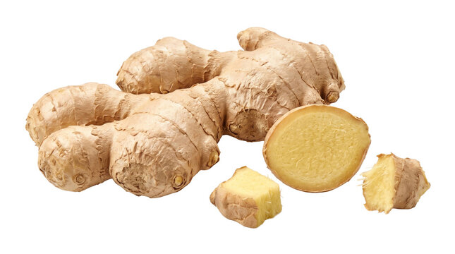 Fresh ginger root and slices on a transparent background
