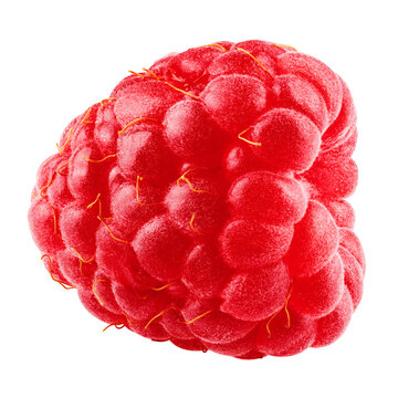 Raspberry isolated, full depth of field