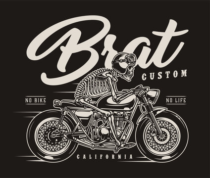 vector illustration