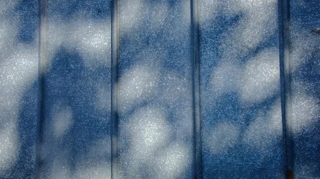 Tree leaf shadow silhouette patterns swaying on blue wooden fence outdoors