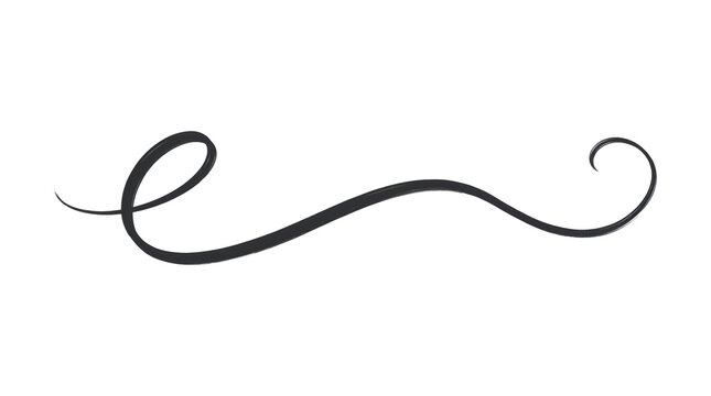 Elegant hand-drawn calligraphic swash underline with looping flourish