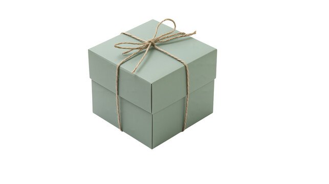 Sage green square gift box with rustic twine bow tied on top