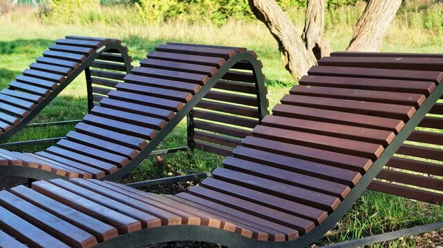 Empty curved wooden loungers with metal frames stand on green grass in a sunny park.