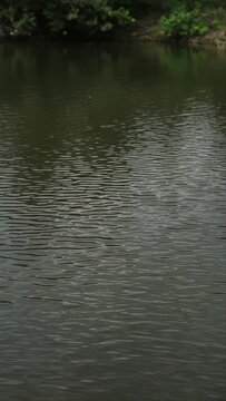 ripple of water in creek 
