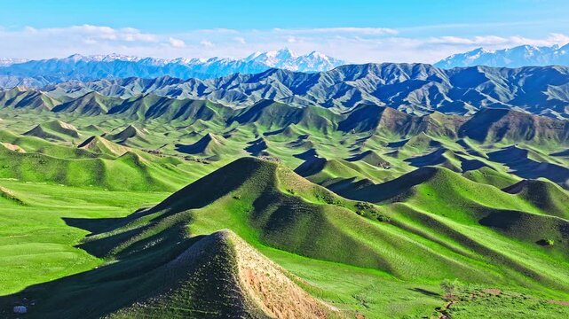 Aerial view of rolling green hills and snow-capped mountains under a blue sky along the S101 highway in Xinjiang, China.