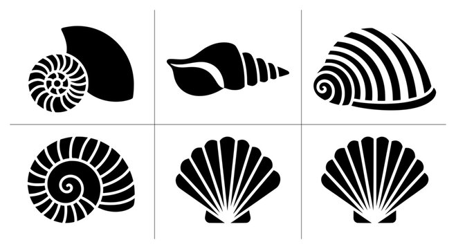 Seashell silhouettes set with nautilus, conch and scallop shapes for ocean themes