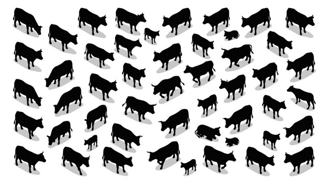 Isometric vector silhouettes of cattle herd with cows bulls and calves for livestock farming and ranching graphics