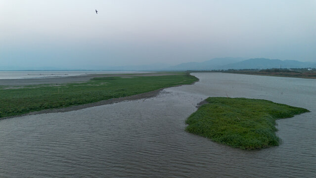 Aerial View of River and Green Wetlands