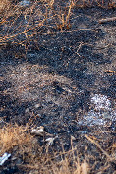 Burnt Ground With Ash After Forest Fire