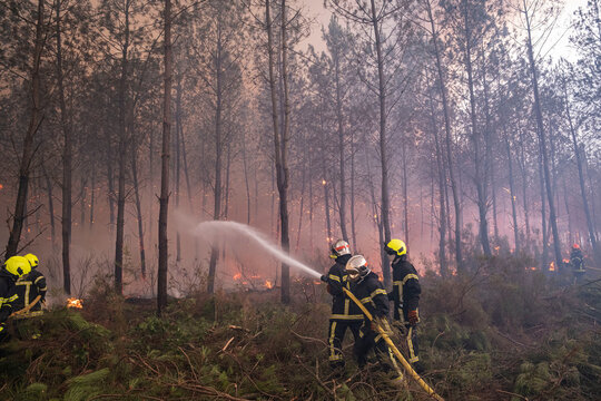 Several firefighting water jets on the same section of a forest fire in Gironde, France