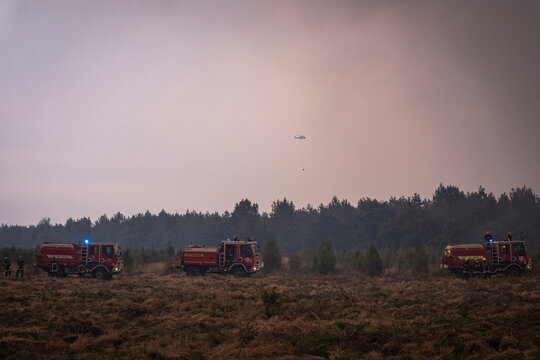 Fire engines lined up at the edge of a forest fire in the pine woods of Gironde, France