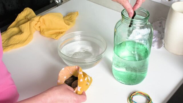 In a healthcare setting, a woman carefully moves purchased medicinal leeches from a peat bag into a jar of water. This process prepares the leeches for use in treatment