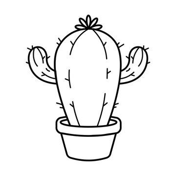 vector illustration of a cactus for coloring children book