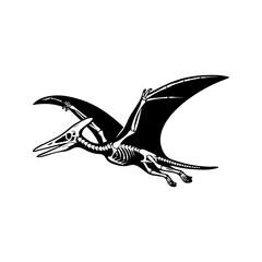Pterodactyl Skeleton Silhouette Vector, Flying Dinosaur Fossil Bones Illustration © Journey