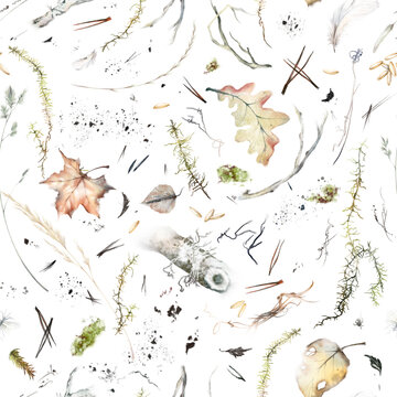 Watercolor hand drawn seamless pattern with forest floor elements, twigs, oak and maple leaves, feathers, moss, soil, isolated on white background. Rustic autumn woodland design for nature fabric