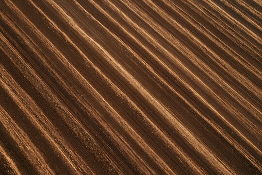 Aerial close up of freshly tilled farmland with long parallel diagonal ridges and furrows in rich earthy brown tones, potato field soil texture and sunlight background