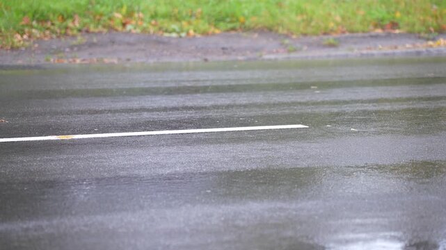 Cars pass across wet asphalt beside a painted lane marking and roadside curb, showing road traffic in rainy conditions relevant to urban mobility and wet pavement driving